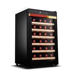 QYTECbx Freestanding Wine Cellars For 28 Pieces Wine Refrigerator 65L Adjustable Thermostat Glass Door Wine Champagne Storage